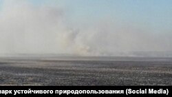 Выгоревший Муравьевский парк в Амурской области