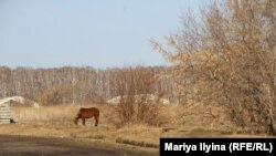 Деревня имени 18-го Партсъезда