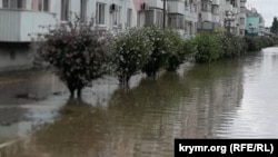 Деревья в воде, иллюстративное фото