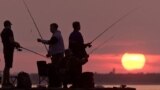 CRIMEA - - Fishermen fish in Apollo Bay - Sevastopol, Ukraine, 30May2021